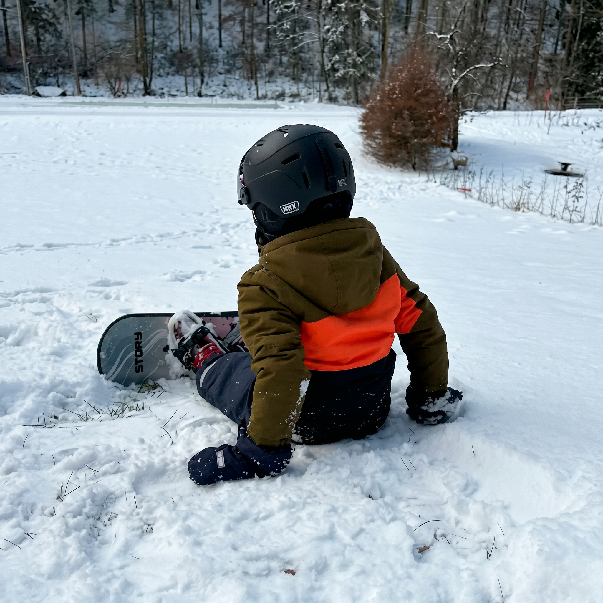 Story Snowboard