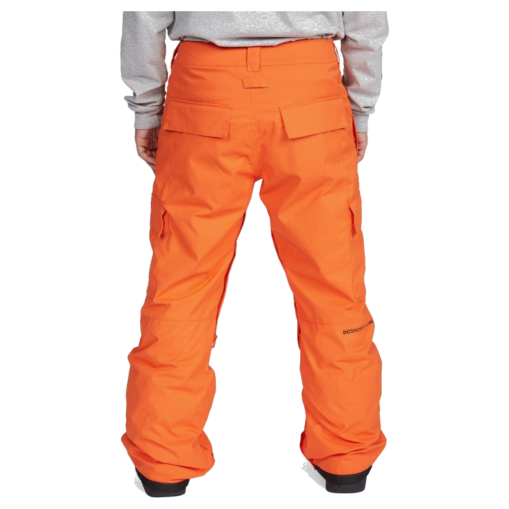 DC Banshee Snow Pants